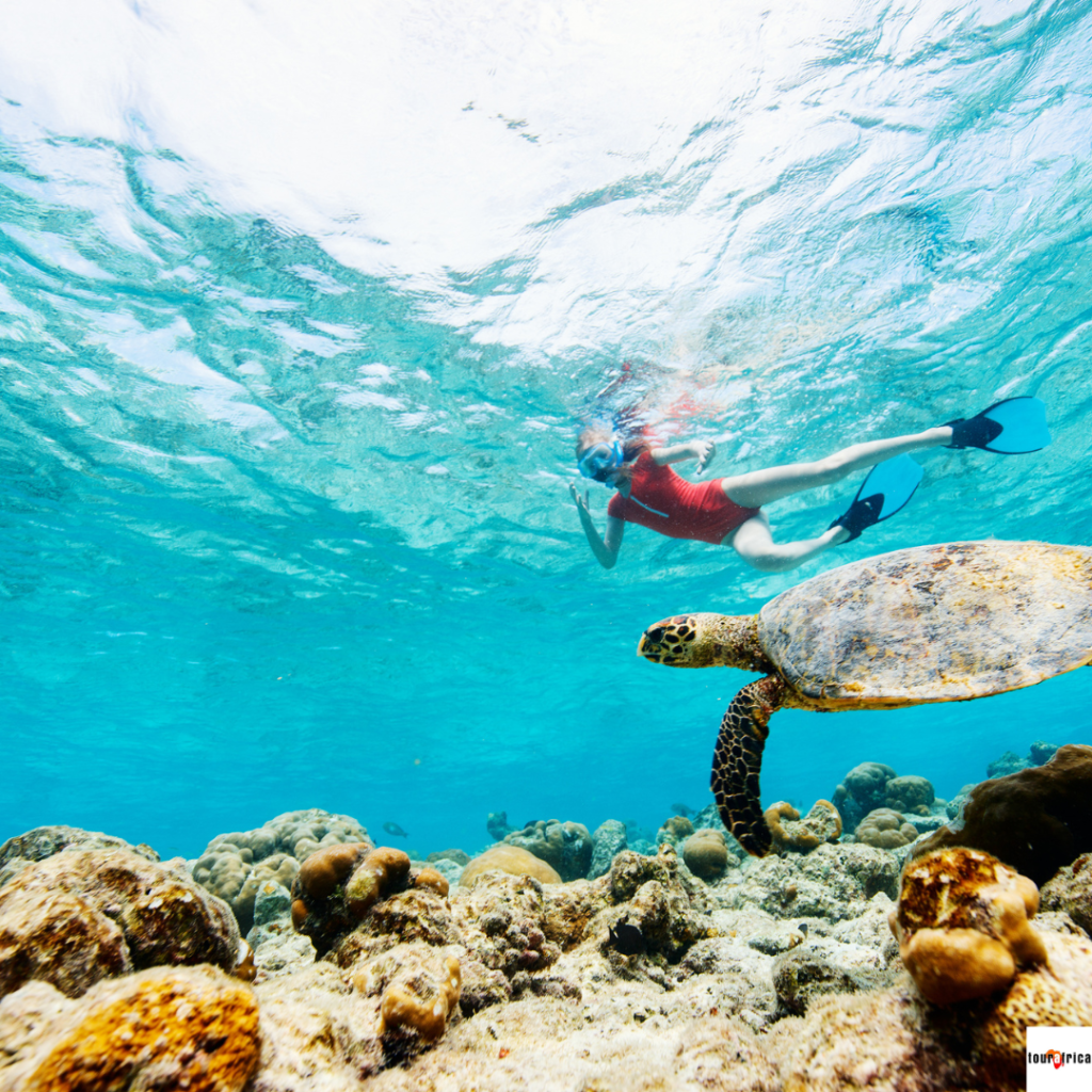 Ultimate Guide to Maldives: Water sport and diving. Tour Africa Mag
