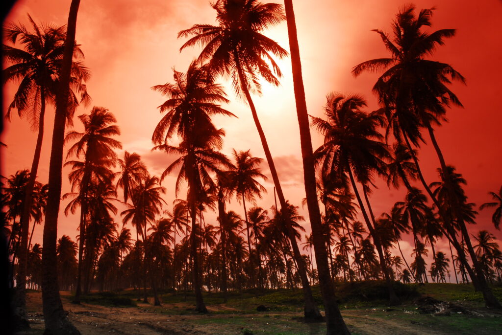 "Travel for Your Mind: How Exploring the World Can Boost Mental Well-being."