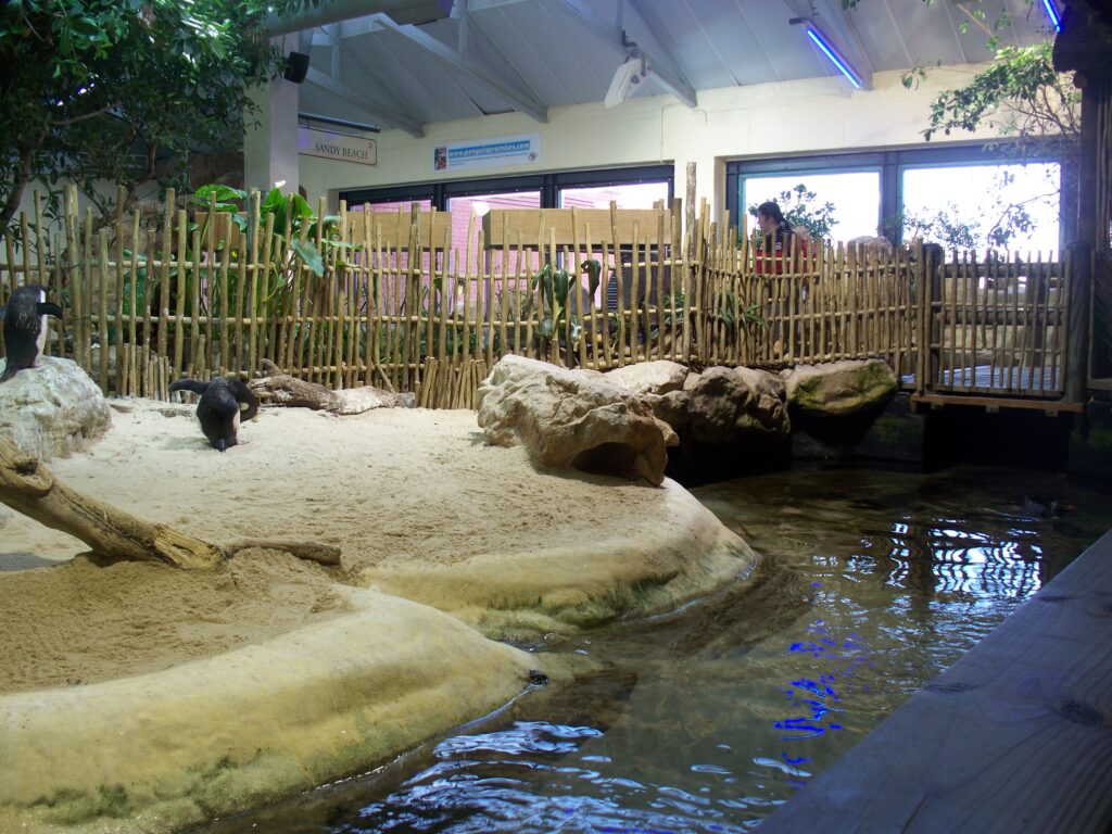Cape Town Travel Guide: Two Ocean Aquarium with penguinss. Tour Africa Magazine.