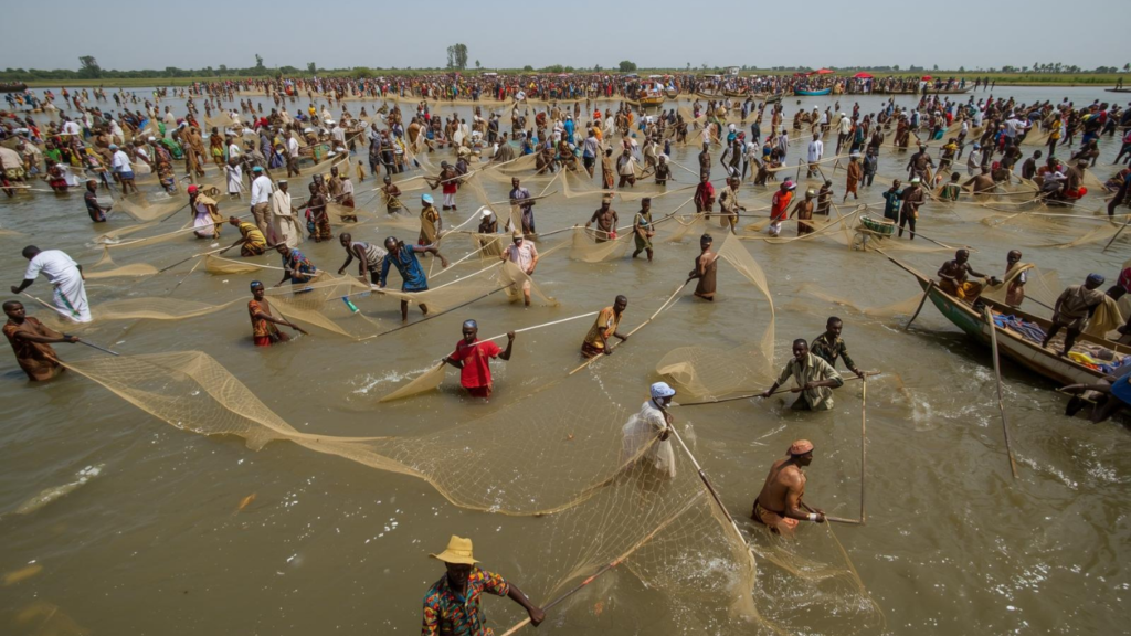 Argungu International Fishing Festival February 2026 Kebbi State Nigeria. Tour Africa Magazine
