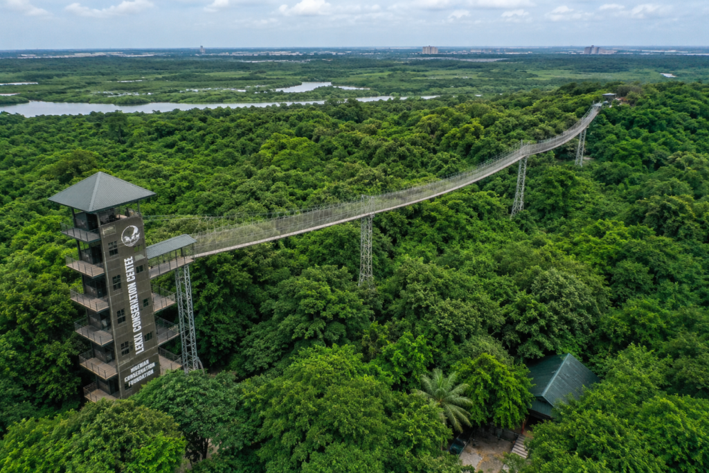 Aerial view of the famous canopy walkway at Lekki Conservation Centre in Lagos, Nigeria.