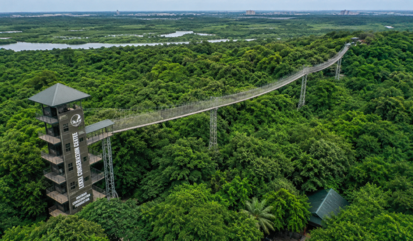 Aerial view of the famous canopy walkway at Lekki Conservation Centre in Lagos, Nigeria.
