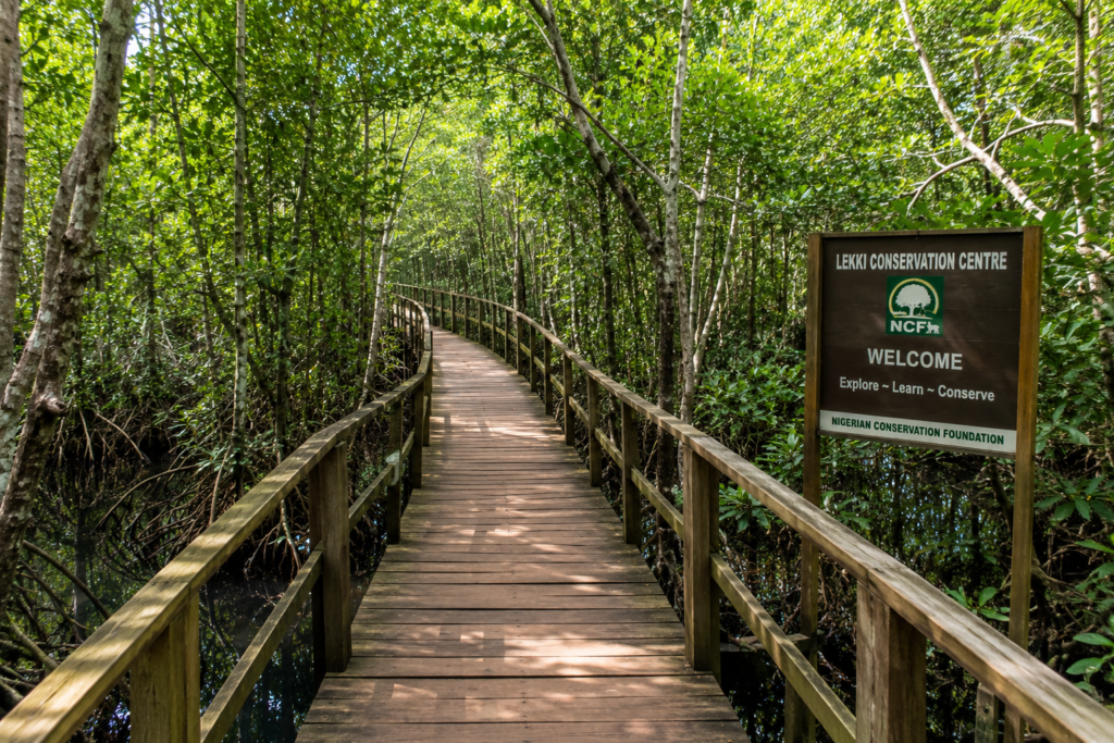 Wooden nature trail through the wetlands